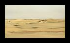 1276 - Deserto del Namib